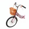 Girls Bicycle